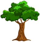 Cartoon Tree PNG Clip Art  - High-quality PNG Clipart Image from ClipartPNG.com