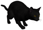 Cat Black PNG Clipart  - High-quality PNG Clipart Image from ClipartPNG.com