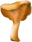 Chanterelle Mushroom PNG Clip Art  - High-quality PNG Clipart Image from ClipartPNG.com