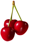 Cherries Fruit PNG Clipart - High-quality PNG Clipart Image from ClipartPNG.com