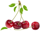 Cherries PNG Clipart - High-quality PNG Clipart Image from ClipartPNG.com