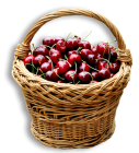 Cherry Basket PNG Clipart  - High-quality PNG Clipart Image from ClipartPNG.com