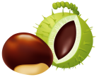 Chestnut PNG Clip Art - High-quality PNG Clipart Image from ClipartPNG.com