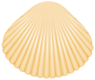 Clam Shell PNG Clip Art  - High-quality PNG Clipart Image from ClipartPNG.com
