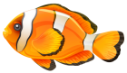 Clownfish PNG Clipart  - High-quality PNG Clipart Image from ClipartPNG.com