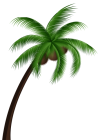 Coconut Palm Tree PNG Clip Art  - High-quality PNG Clipart Image from ClipartPNG.com