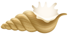 Conch PNG Clip Art  - High-quality PNG Clipart Image from ClipartPNG.com
