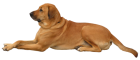 Dog PNG Clip Art - High-quality PNG Clipart Image from ClipartPNG.com