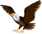 Eagle PNG Clip Art  - High-quality PNG Clipart Image from ClipartPNG.com