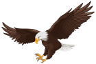 Eagle PNG Clip Art  - High-quality PNG Clipart Image from ClipartPNG.com