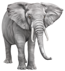 Elephant Large PNG Clipart - High-quality PNG Clipart Image from ClipartPNG.com