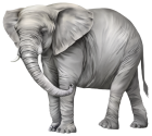 Elephant PNG Clipart - High-quality PNG Clipart Image from ClipartPNG.com