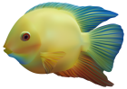 Exotic Fish PNG Clipart - High-quality PNG Clipart Image from ClipartPNG.com
