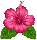 Exotic Flower PNG Clip Art  - High-quality PNG Clipart Image from ClipartPNG.com