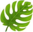 Exotic Leaf PNG Clip Art  - High-quality PNG Clipart Image from ClipartPNG.com