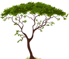 Exotic Tree PNG Clip Art  - High-quality PNG Clipart Image from ClipartPNG.com
