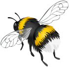 Flying Bee PNG Clipart - High-quality PNG Clipart Image from ClipartPNG.com