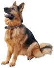 German Shepherd Dog PNG Clipart - High-quality PNG Clipart Image from ClipartPNG.com