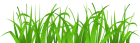 Grass Cover PNG Clip Art - High-quality PNG Clipart Image from ClipartPNG.com