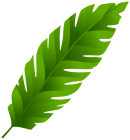 Green Leaf PNG Clip Art - High-quality PNG Clipart Image from ClipartPNG.com
