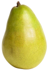 Green Pear Fruit PNG Clipart - High-quality PNG Clipart Image from ClipartPNG.com
