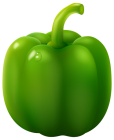 Green Pepper PNG Clipart - High-quality PNG Clipart Image from ClipartPNG.com