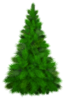 Green Pine Tree PNG Clip Art  - High-quality PNG Clipart Image from ClipartPNG.com