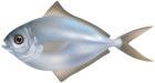 Grey Butter Fish PNG Clipart Image - High-quality PNG Clipart Image from ClipartPNG.com