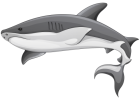Grey Shark PNG Clipart - High-quality PNG Clipart Image from ClipartPNG.com