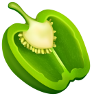 Half Green Pepper PNG Clipart - High-quality PNG Clipart Image from ClipartPNG.com