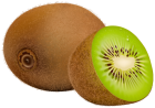 Kiwi Fruit PNG Clipart  - High-quality PNG Clipart Image from ClipartPNG.com