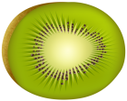 Kiwi PNG Clip Art - High-quality PNG Clipart Image from ClipartPNG.com