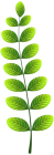 Leaf PNG Clip Ar - High-quality PNG Clipart Image from ClipartPNG.com