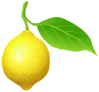 Lemon PNG Clip Art  - High-quality PNG Clipart Image from ClipartPNG.com