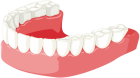 Lower Jaw PNG Clip Art - High-quality PNG Clipart Image from ClipartPNG.com