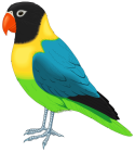 Multicolored Bird PNG Clipart  - High-quality PNG Clipart Image from ClipartPNG.com