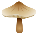 Mushroom Xerula Radicata PNG Clipart  - High-quality PNG Clipart Image from ClipartPNG.com