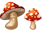 Mushrooms PNG Clip Art  - High-quality PNG Clipart Image from ClipartPNG.com