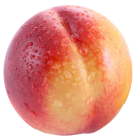 Nectarine PNG Clipart - High-quality PNG Clipart Image from ClipartPNG.com