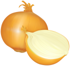 Onion PNG Clipart  - High-quality PNG Clipart Image from ClipartPNG.com