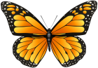 Orange Butterfly PNG Clip Art - High-quality PNG Clipart Image from ClipartPNG.com