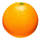 Orange PNG Clipart - High-quality PNG Clipart Image from ClipartPNG.com