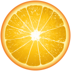 Orange Slice PNG Clip Art  - High-quality PNG Clipart Image from ClipartPNG.com