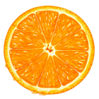 Orange Slice PNG Clipart  - High-quality PNG Clipart Image from ClipartPNG.com