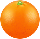 Orange Transparent PNG Image  - High-quality PNG Clipart Image from ClipartPNG.com