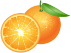 Oranges PNG Clip Art  - High-quality PNG Clipart Image from ClipartPNG.com