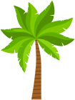 Palm PNG ClipArt  - High-quality PNG Clipart Image from ClipartPNG.com