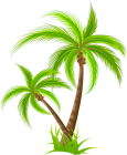 Palm PNG Clip Art - High-quality PNG Clipart Image from ClipartPNG.com