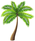 Palm Tree PNG Clip Art  - High-quality PNG Clipart Image from ClipartPNG.com