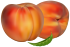 Peaches PNG Clipart - High-quality PNG Clipart Image from ClipartPNG.com